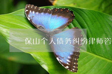 保山个人债务纠纷律师咨询 保山个人债务纠纷律师咨询