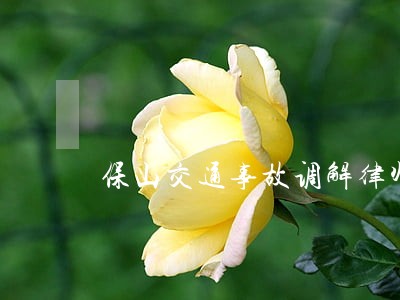 保山交通事故调解律师 保山交通事故调解律师
