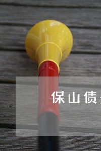 保山债务纠纷律师在哪里 保山债务纠纷律师在哪里