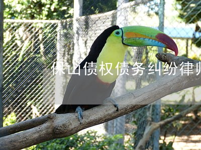 保山债权债务纠纷律师免费电话 保山债权债务纠纷律师免费电话