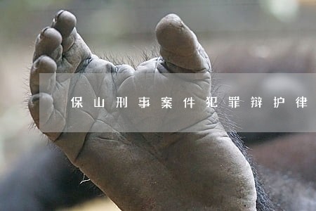 保山刑事案件犯罪辩护律师多少钱