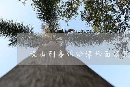 保山刑事诉讼律师面谈预约 保山刑事诉讼律师面谈预约