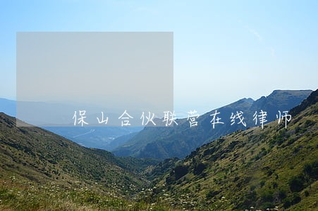 保山合伙联营在线律师