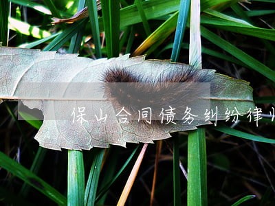 保山合同债务纠纷律师 保山合同债务纠纷律师