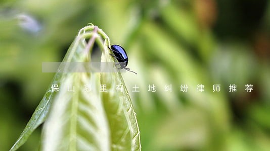 保山哪里有土地纠纷律师推荐 保山哪里有土地纠纷律师推荐