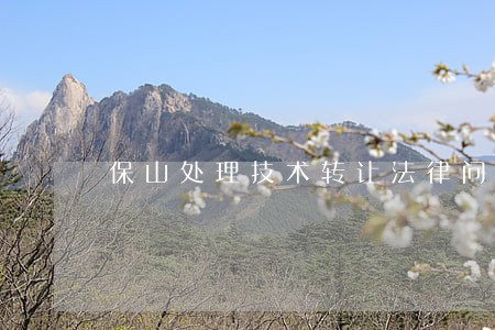 保山处理技术转让法律问题的律师 保山处理技术转让法律问题的律师