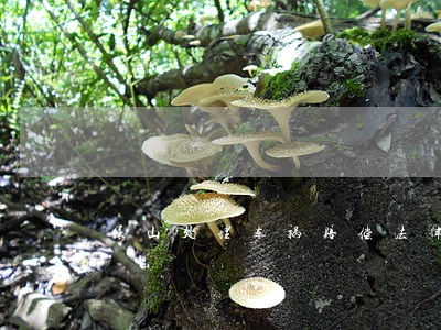 保山处理车祸赔偿法律问题律师