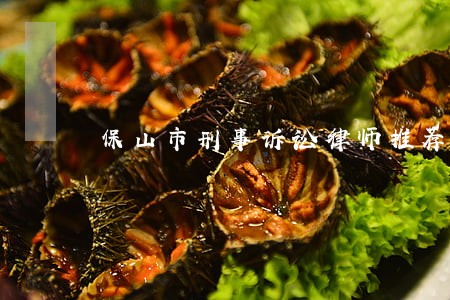 保山市刑事诉讼律师推荐 保山市刑事诉讼律师推荐