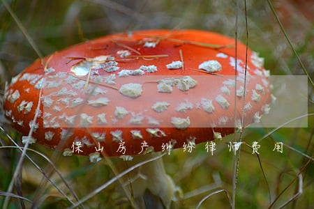 保山房产纠纷律师费用 保山房产纠纷律师费用