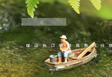 保山有口碑的债务纠纷律师 保山有口碑的债务纠纷律师