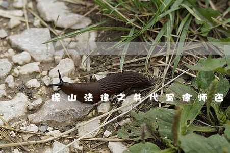 保山法律文书代写律师咨询电话