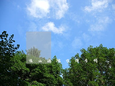 保山法院咨询号码 保山法院咨询号码