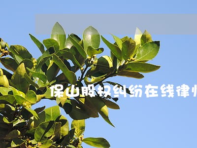 保山股权纠纷在线律师 保山股权纠纷在线律师