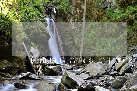 保山购房合同纠纷律师多少钱 保山购房合同纠纷律师多少钱