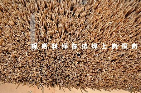保底利润在法律上有没有用 保底利润在法律上有没有用