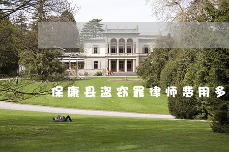 保康县盗窃罪律师费用多少