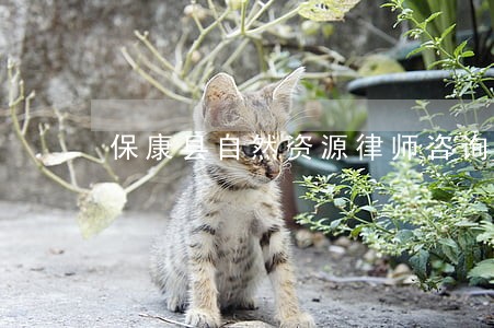 保康县自然资源律师咨询电话