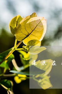 保康在线法律援助平台 保康在线法律援助平台