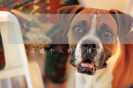 保德个人经济律师 保德个人经济律师