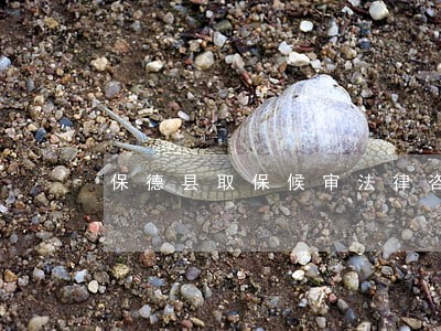 保德县取保候审法律咨询热线 保德县取保候审法律咨询热线