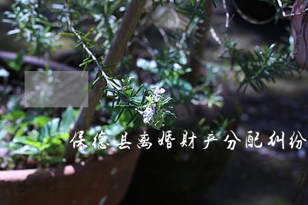 保德县离婚财产分配纠纷律师 保德县离婚财产分配纠纷律师
