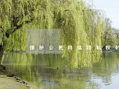 保护公民网络隐私权的法规是 保护公民网络隐私权的法规是