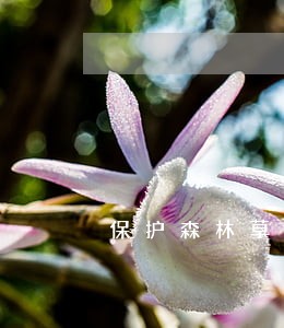 保护森林草原的法律规定 保护森林草原的法律规定