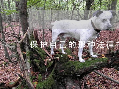保护自己的那种法律书籍比较好 保护自己的那种法律书籍比较好