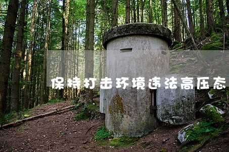 保持打击环境违法高压态势 保持打击环境违法高压态势