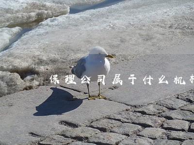 保理公司属于什么机构 保理公司属于什么机构