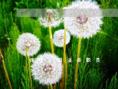保理公司法务职责 保理公司法务职责