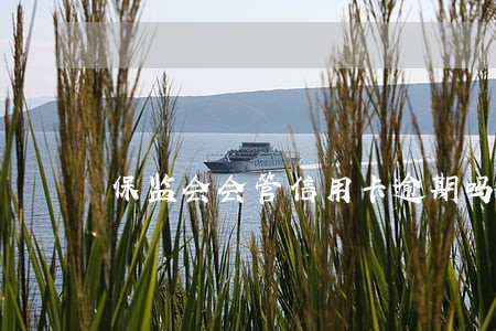 保监会会管信用卡逾期吗 保监会会管信用卡逾期吗