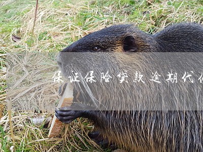 保证保险贷款逾期代偿案例 保证保险贷款逾期代偿案例