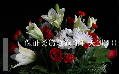 保证类贷款逾期1天到30天 保证类贷款逾期1天到30天