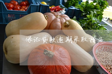 保证贷款逾期采取措施