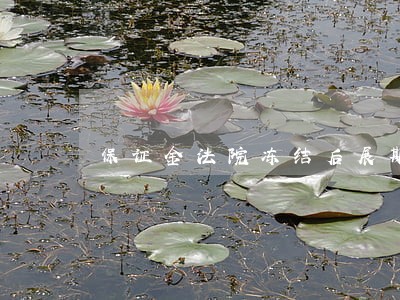 保证金法院冻结后展期 保证金法院冻结后展期