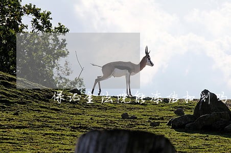 保证金法院能冻结扣划吗 保证金法院能冻结扣划吗