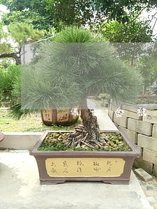 保证金被法院冻结 保证金被法院冻结