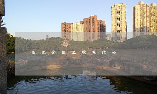 保证金被法院冻结吗 保证金被法院冻结吗