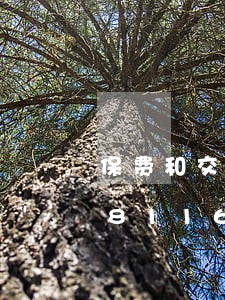保费和交通违法有关系/2023020481167 保费和交通违法有关系/2023020481167