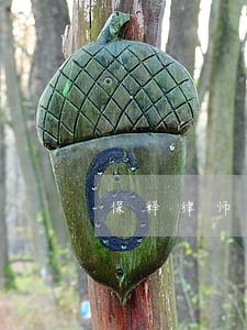 保释律师如何委托 保释律师如何委托