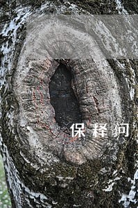保释问题咨询律师 保释问题咨询律师