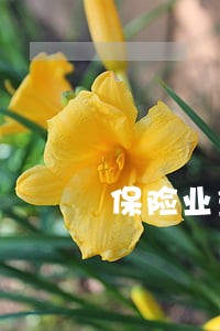 保险业重大违法违规行为 保险业重大违法违规行为