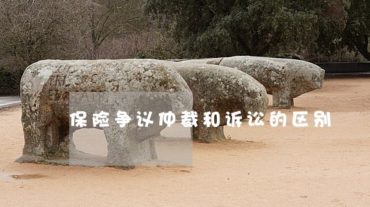 保险争议仲裁和诉讼的区别 保险争议仲裁和诉讼的区别