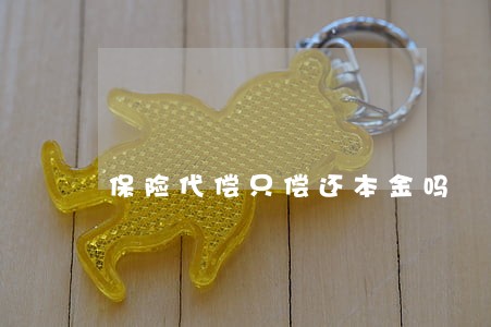 保险代偿只偿还本金吗 保险代偿只偿还本金吗