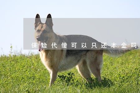 保险代偿可以只还本金吗 保险代偿可以只还本金吗