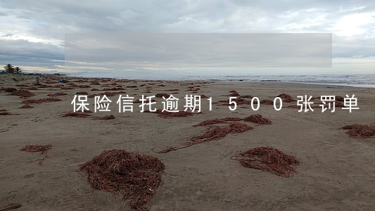 保险信托逾期1500张罚单 保险信托逾期1500张罚单