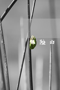 保险公司不肯赔法院这样判 保险公司不肯赔法院这样判