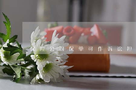 保险公司保单可作诉讼担保 保险公司保单可作诉讼担保
