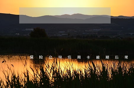 保险公司信用卡逾期后果 保险公司信用卡逾期后果